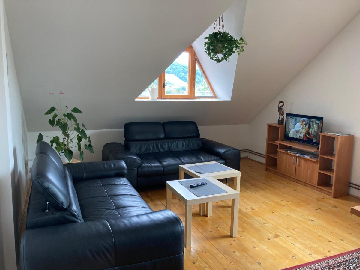 Jeseník Apartman Pod Laznema מראה חיצוני תמונה